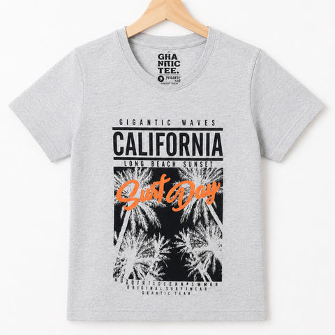 RL - Short Sleeve - Round Neck - T-Shirt - Grey - California